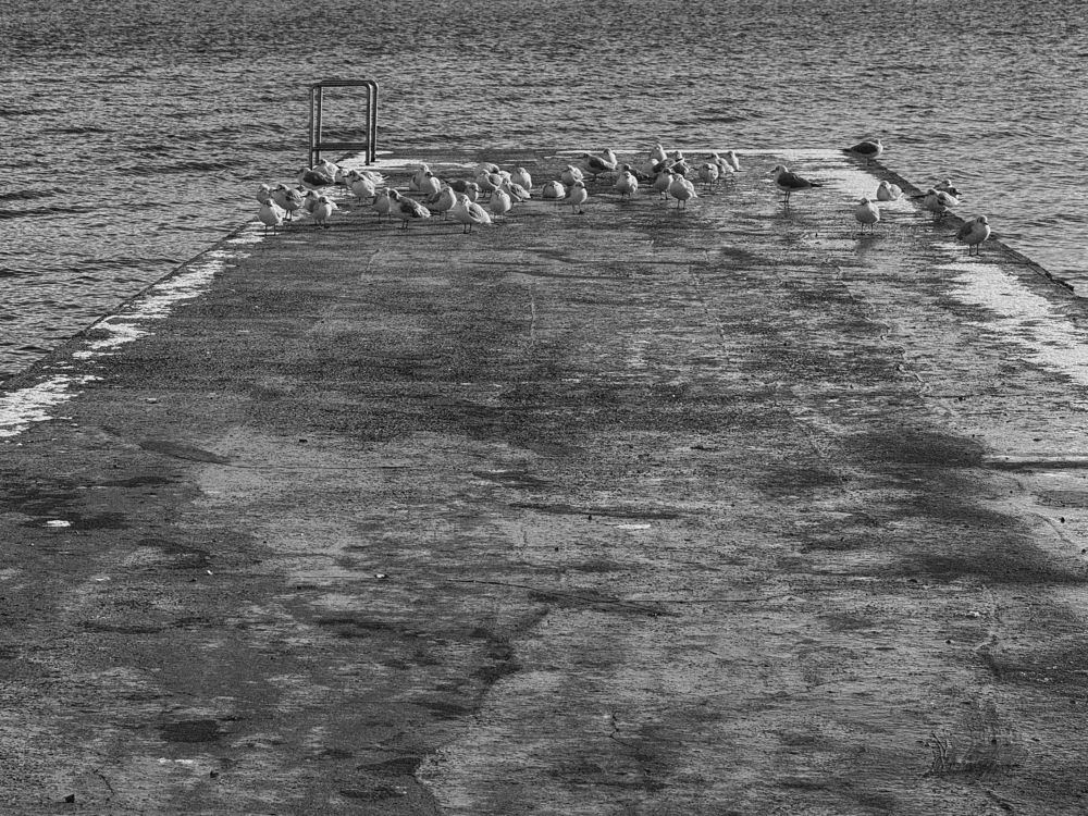 Photograph by Анастасия Антонова