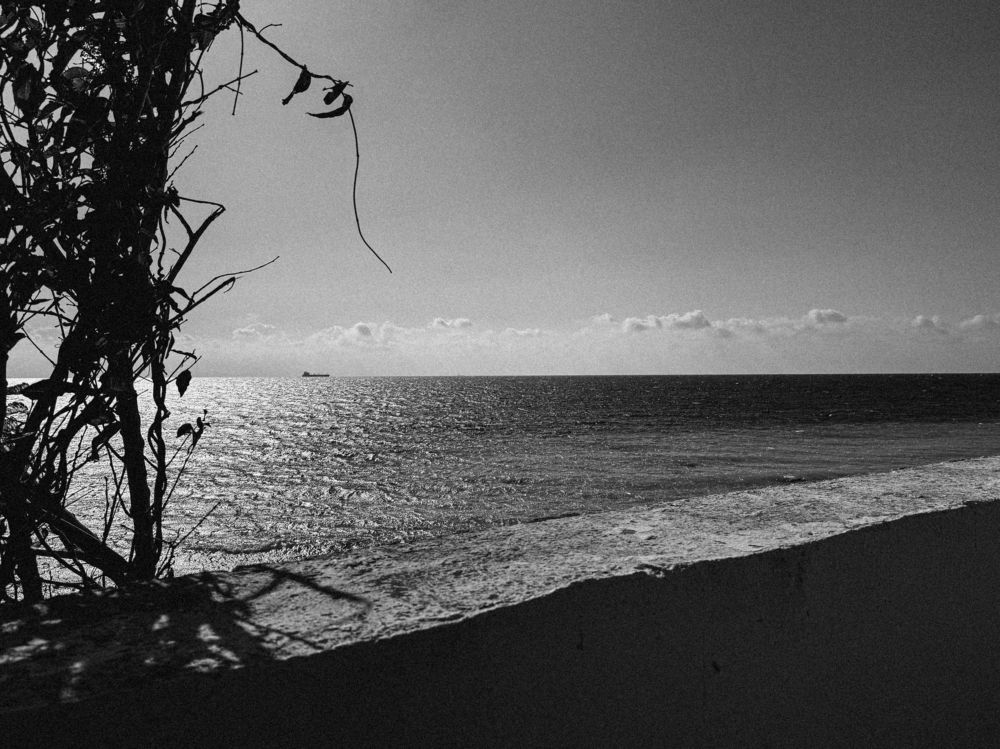 Photograph by Анастасия Антонова