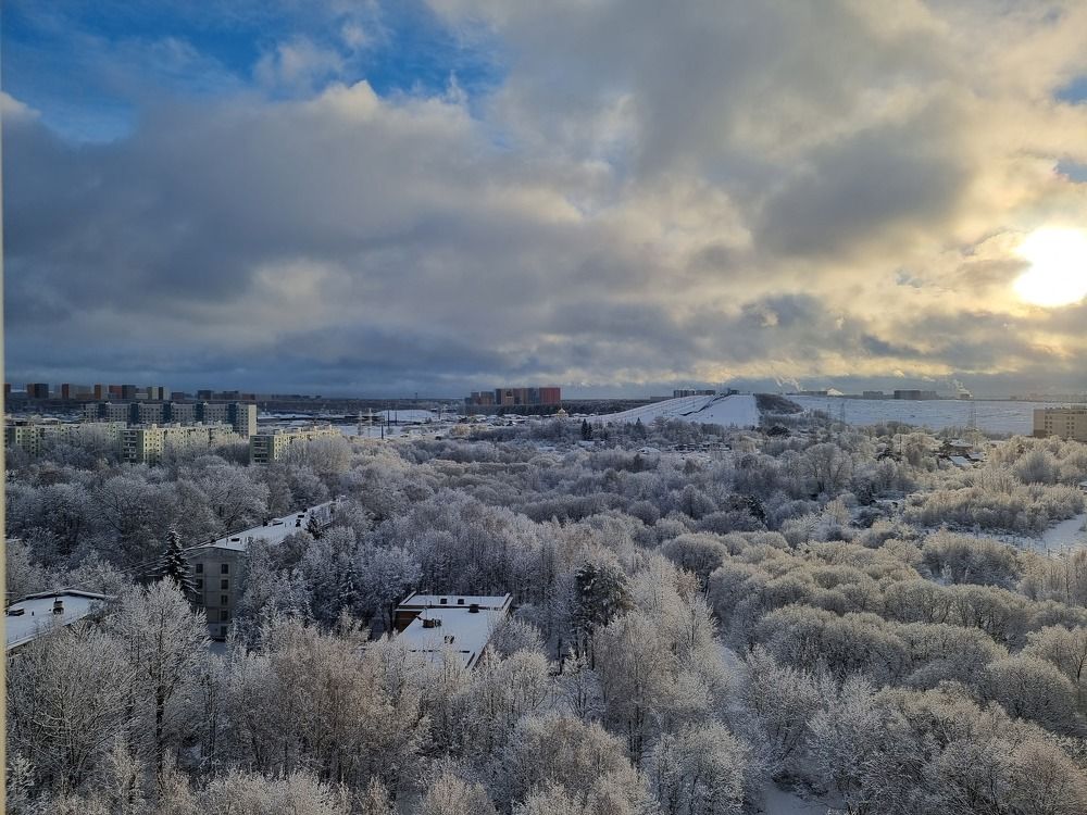 Фотография автора Светлана Алексеева