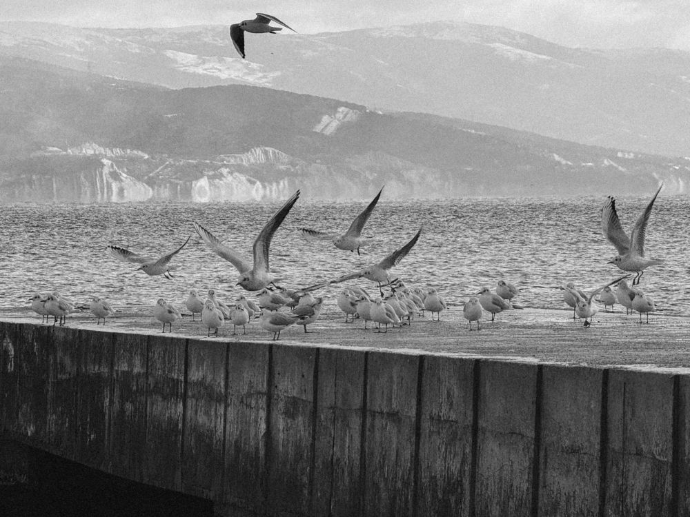 Photograph by Анастасия Антонова