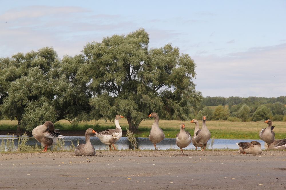 Photograph by Екатерина Брехова