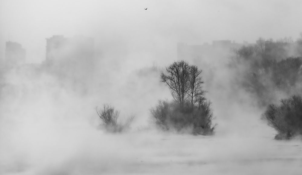 Photograph by Валерий Туманов