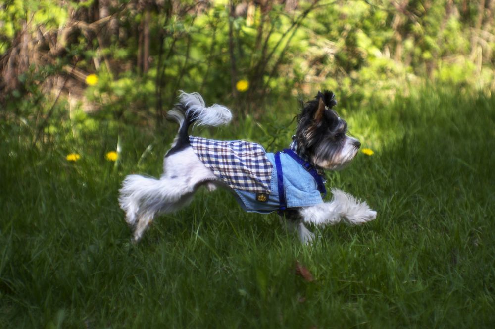 Photograph by Александр Журавлев