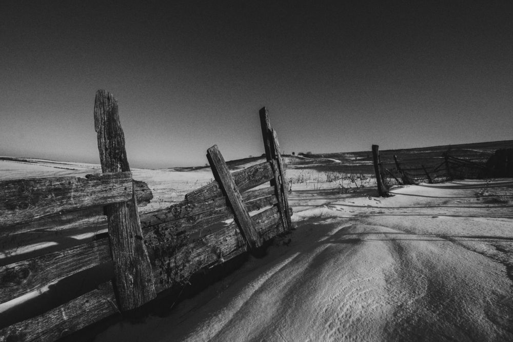 Фотография автора Oleg Suhenko