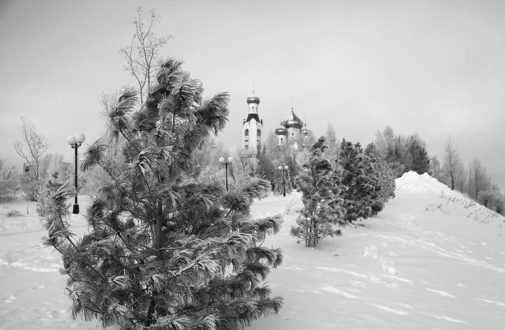 Photograph by Ольга Слотвинская