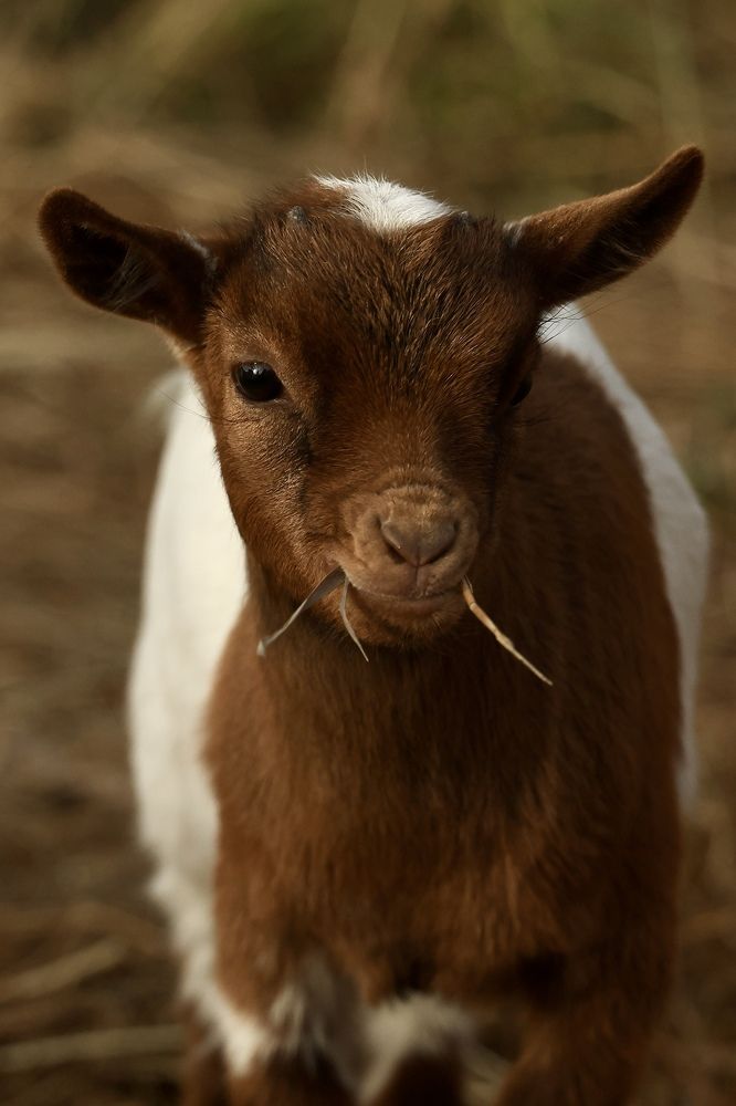 Photograph by Евгения Казакова