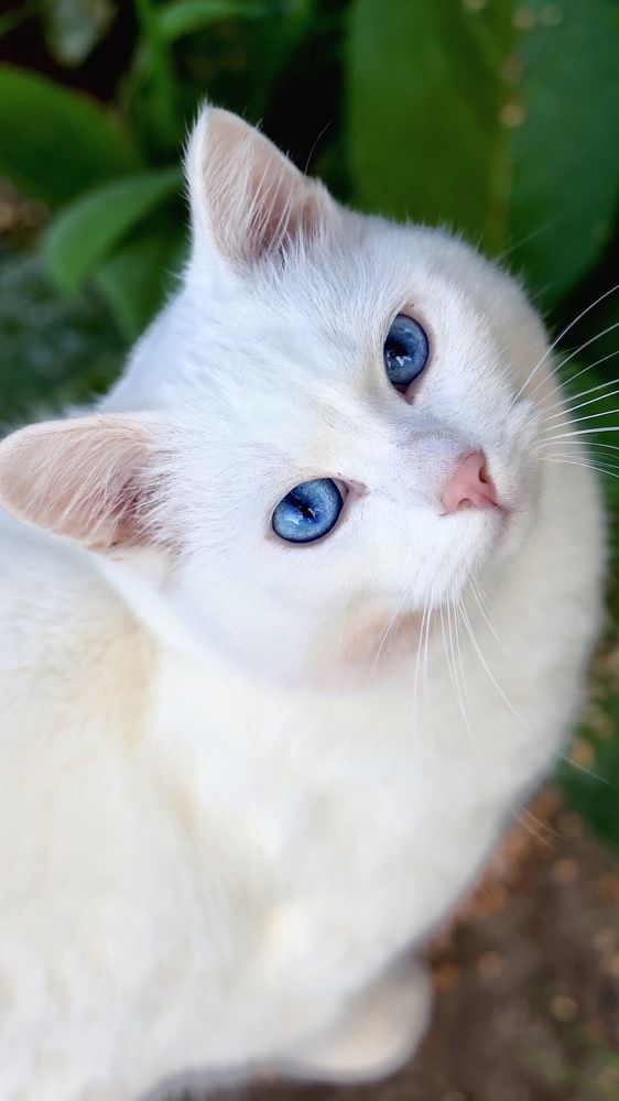 Photograph by Евгения Казакова