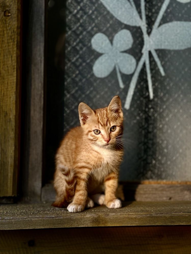 Photograph by Евгения Казакова