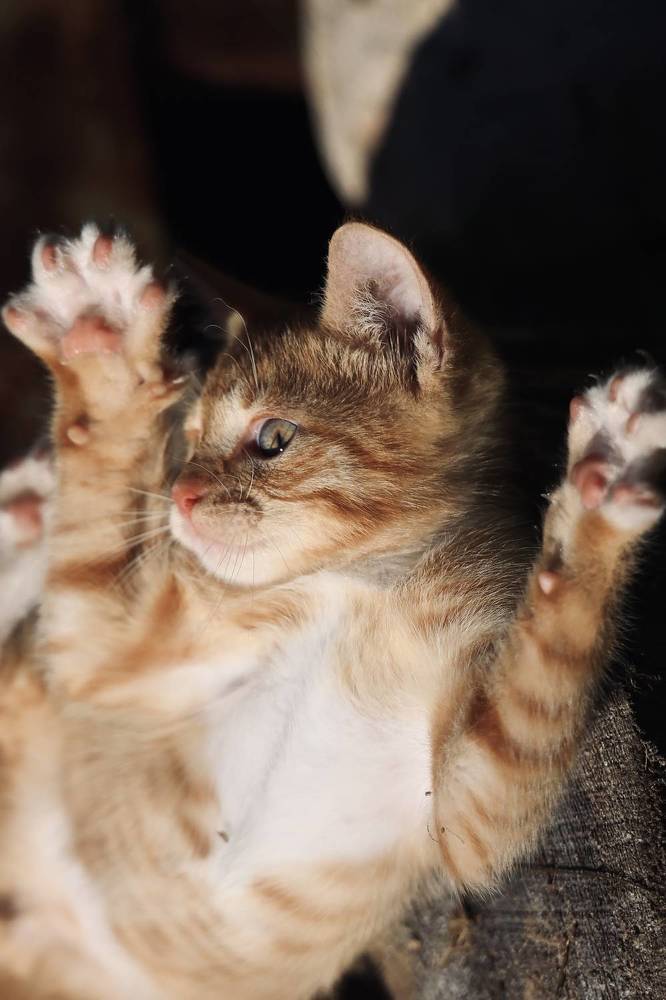 Photograph by Евгения Казакова