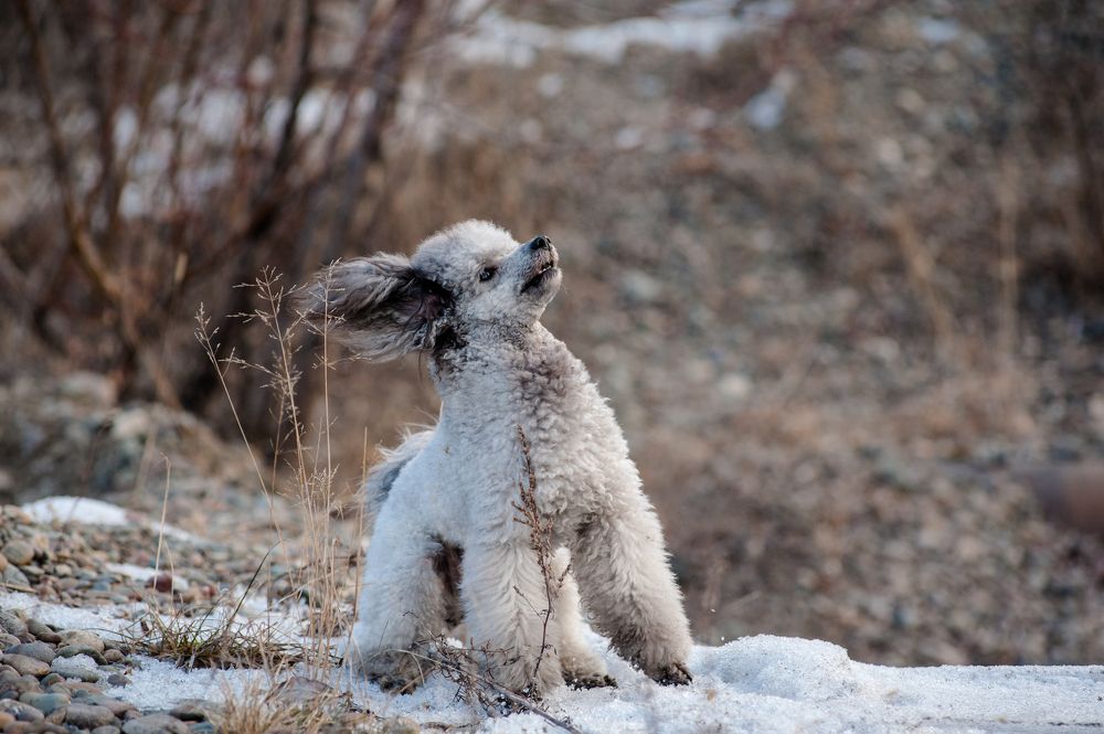 Photograph by Семенов Александр