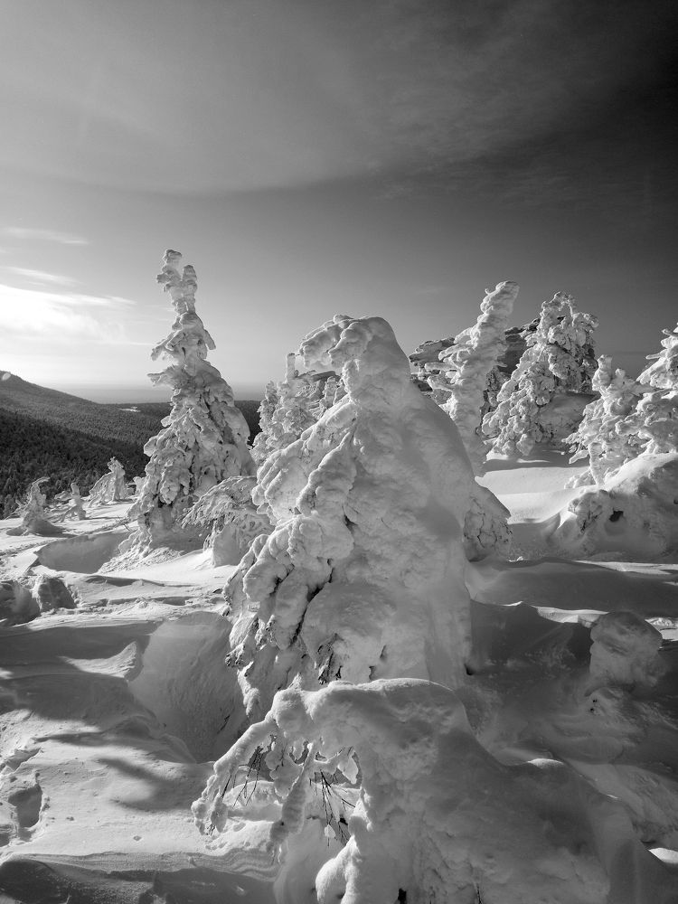 Photograph by Eлена Смирнова