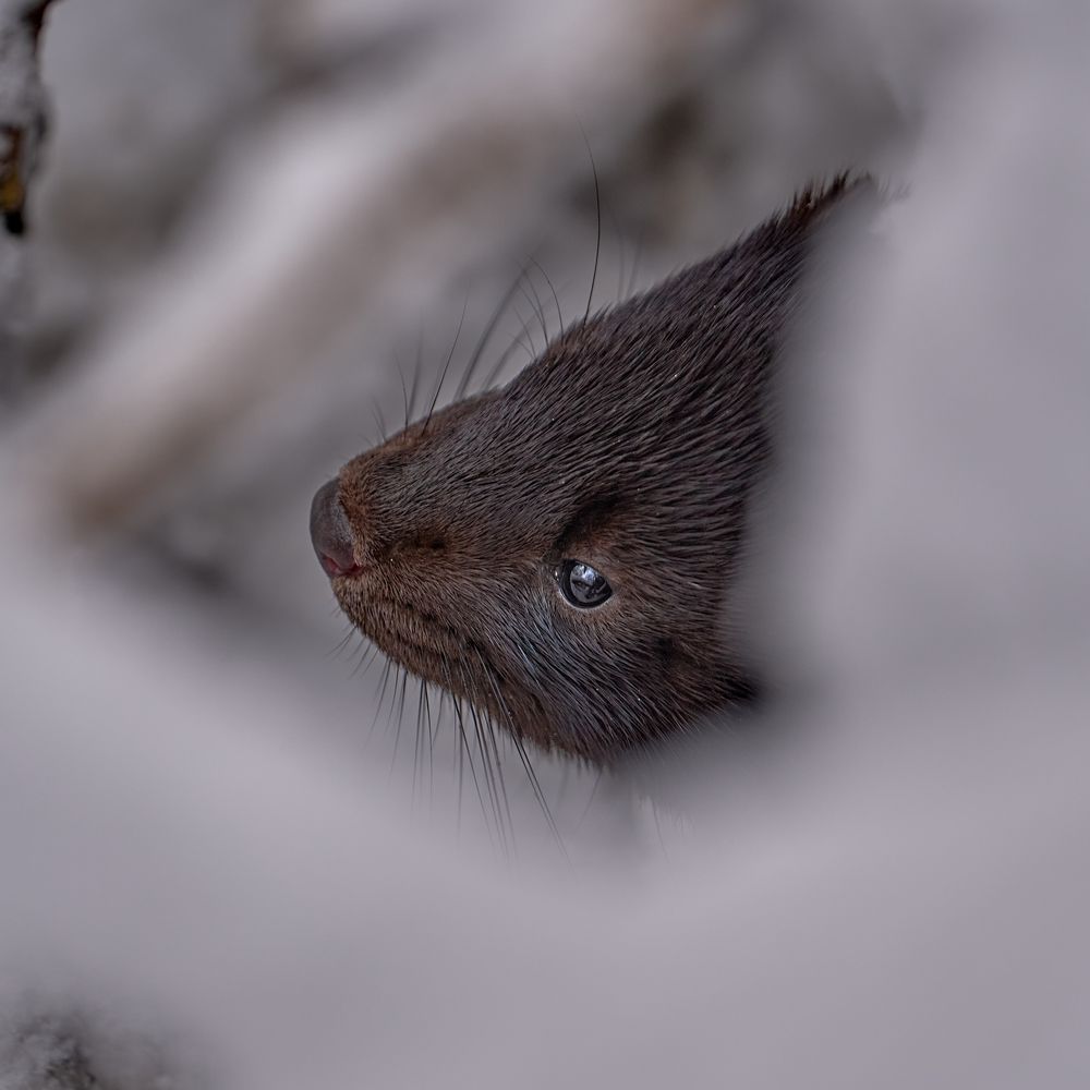 Photograph by Valery Zmachynski