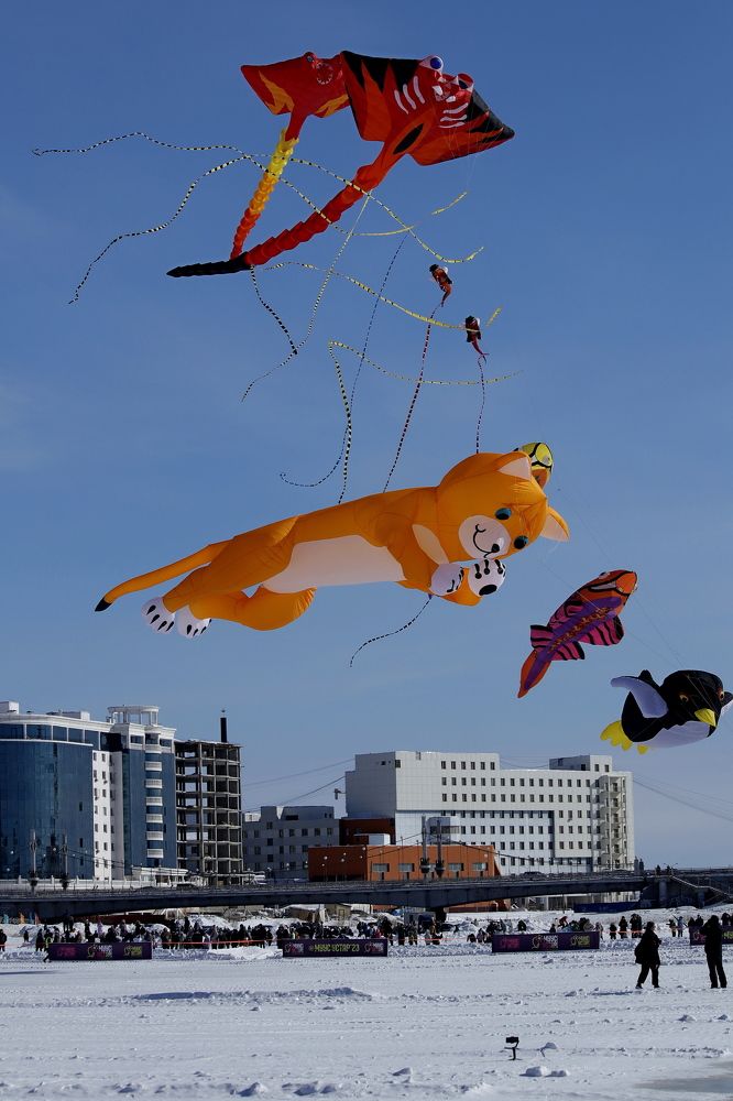 Photograph by Александр Велигура