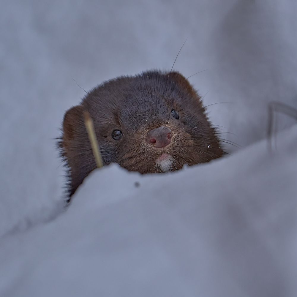 Photograph by Valery Zmachynski