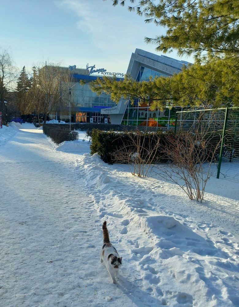 Фотография автора Oksana Podgorodetska