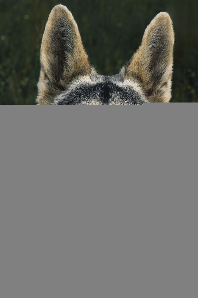 Photograph by Остапенко Алина