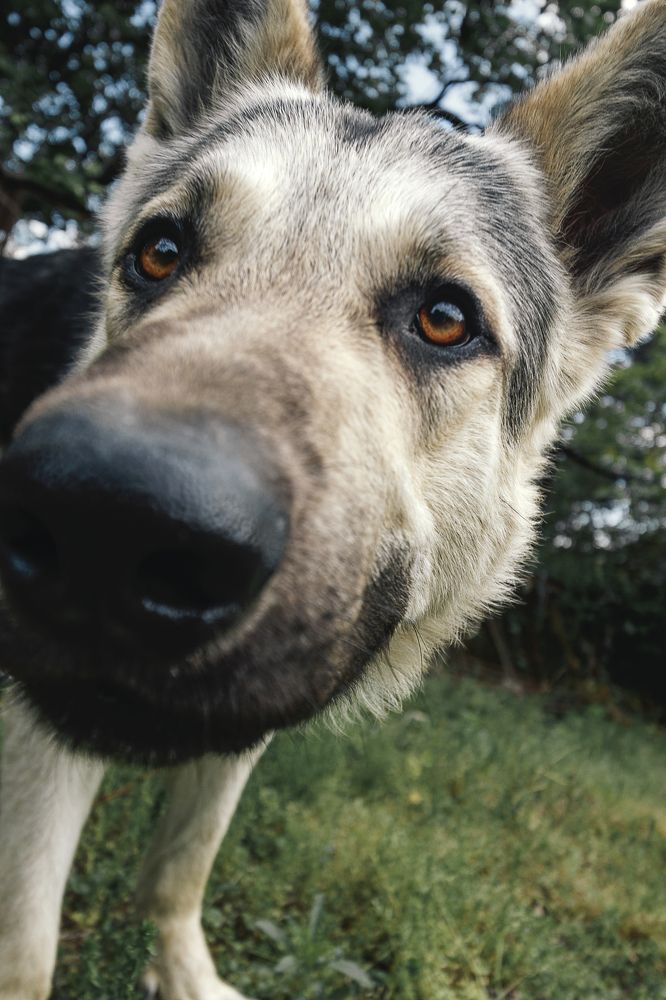 Photograph by Остапенко Алина