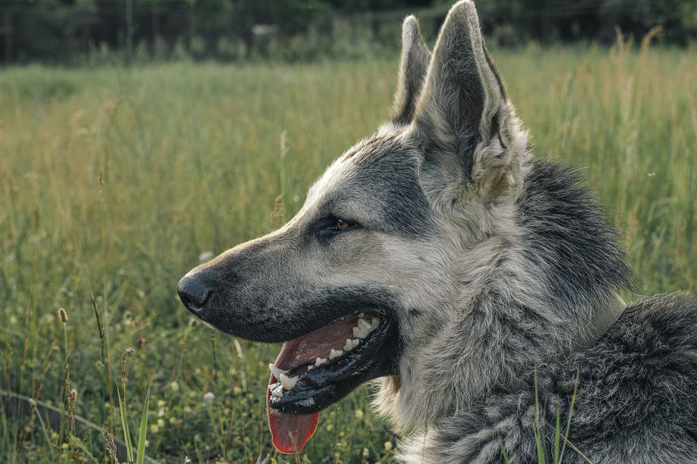 Photograph by Остапенко Алина