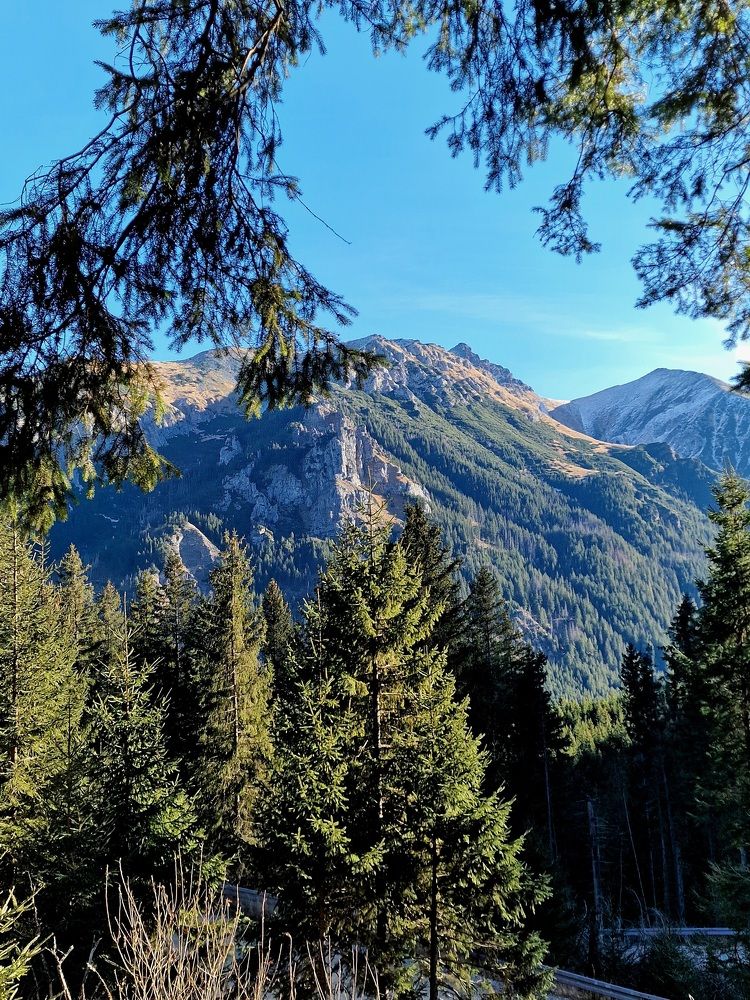 Фотография автора Maryna Pytliak