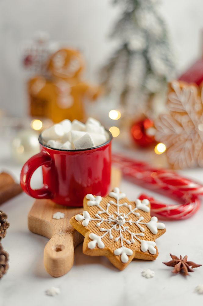 Фотография автора Светлана Роткина