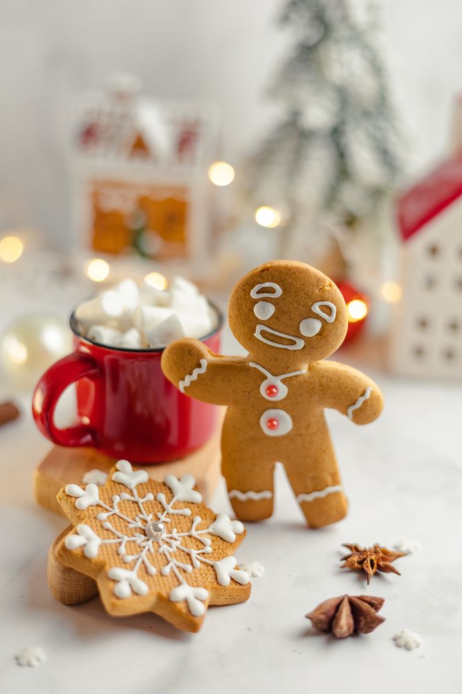 Фотография автора Светлана Роткина