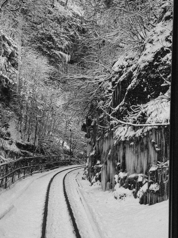 Photograph by Анастасия Антонова