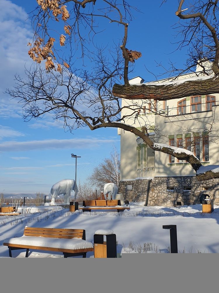 Фотография автора Ольга Меньшенина