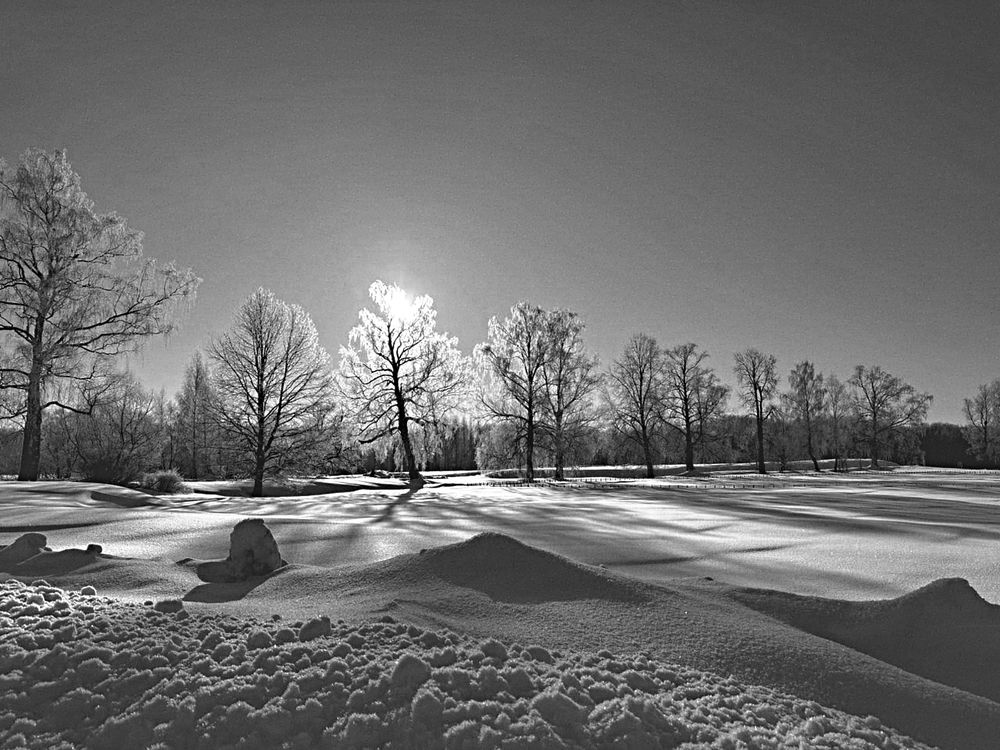 Photograph by Надежда Козлова