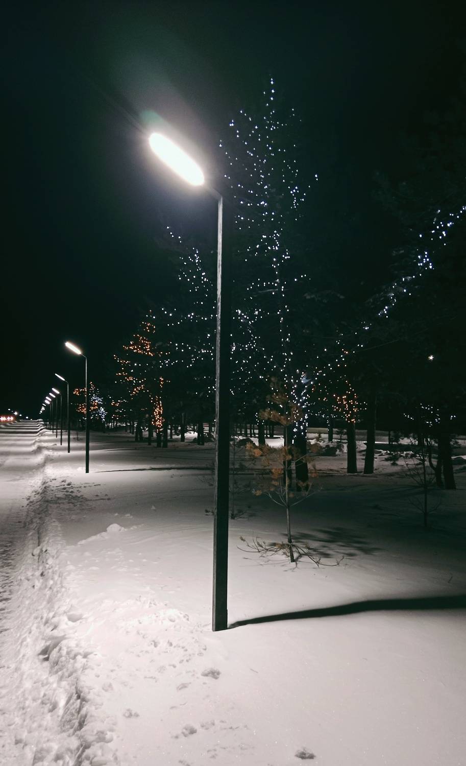 Photo #11617392