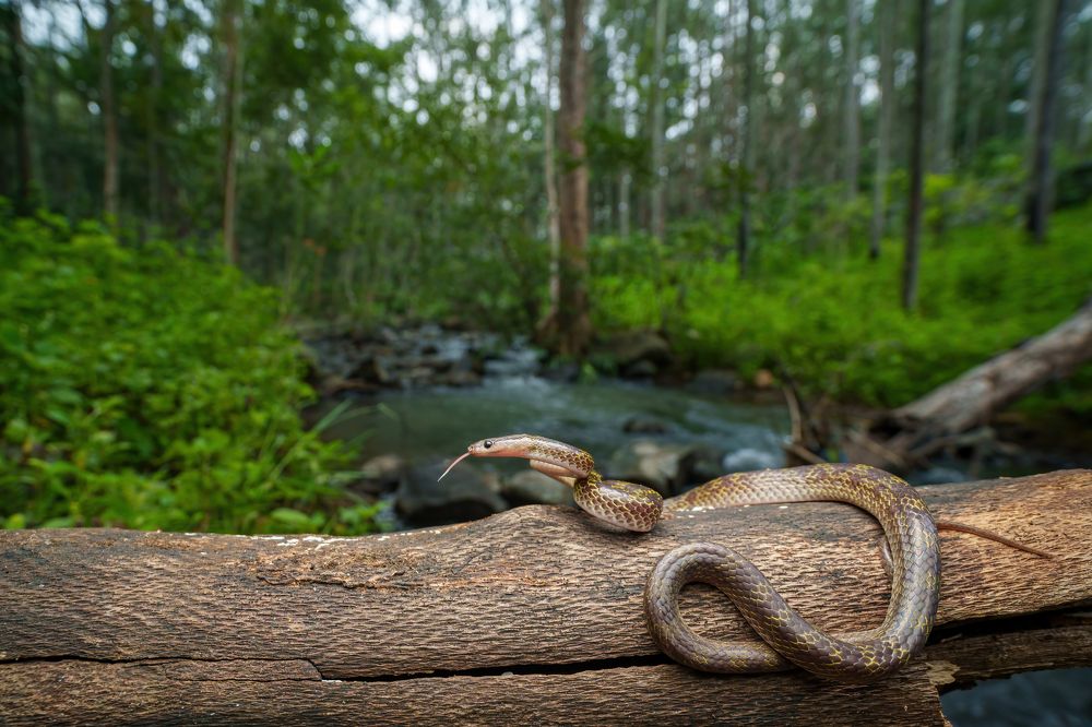 Фотография автора Hari Venkatesh
