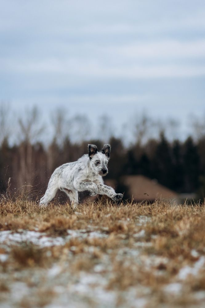 Фотография автора Татьяна Радусь