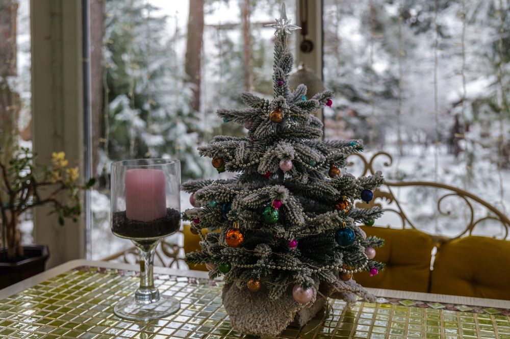 Photograph by Александр Журавлев