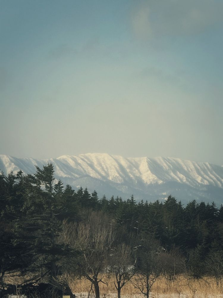 Фотография автора Елена