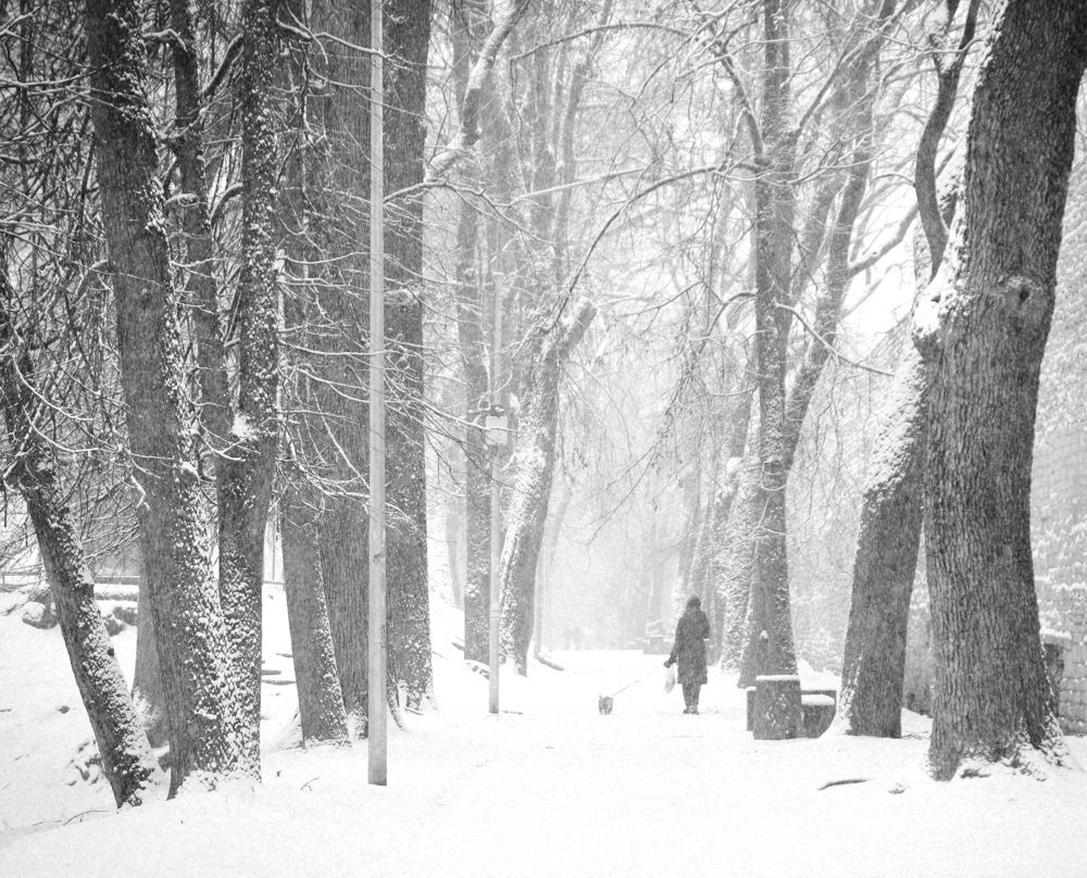 Photograph by Наталия Питолина