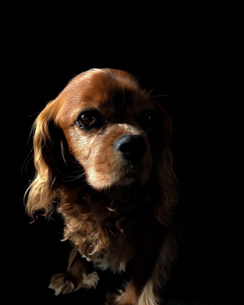 Photograph by Zinaida Sassarini