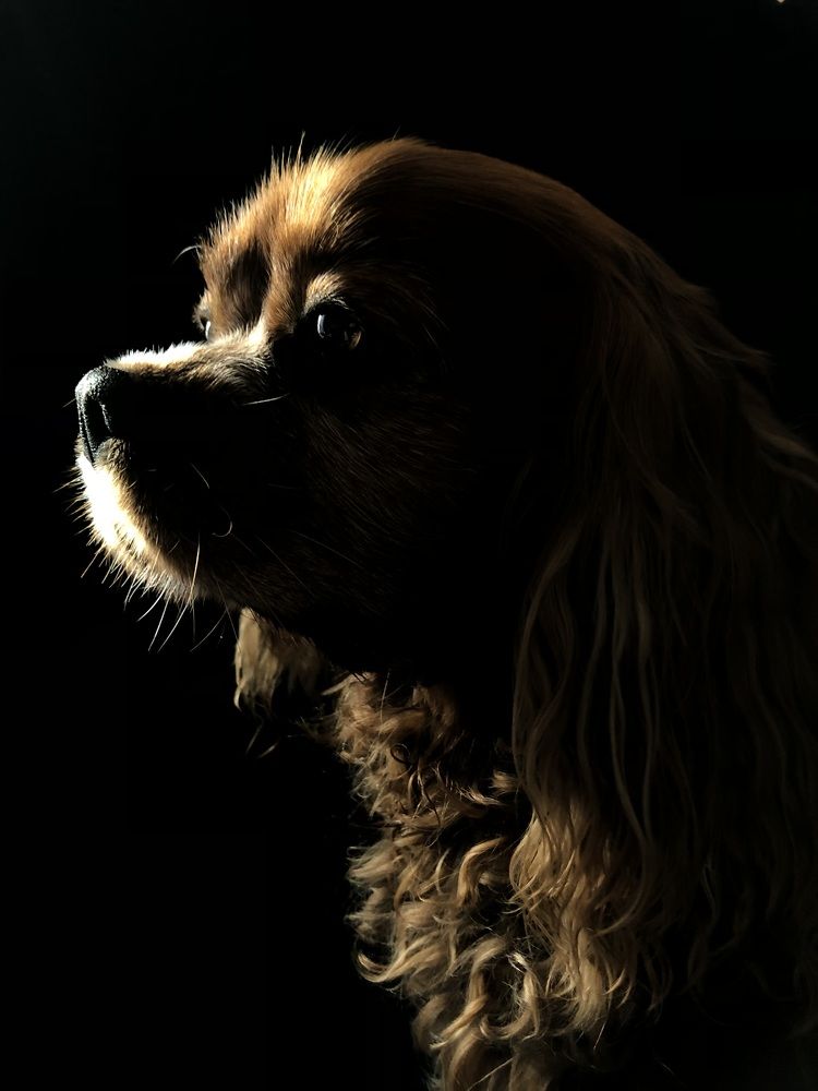 Photograph by Zinaida Sassarini