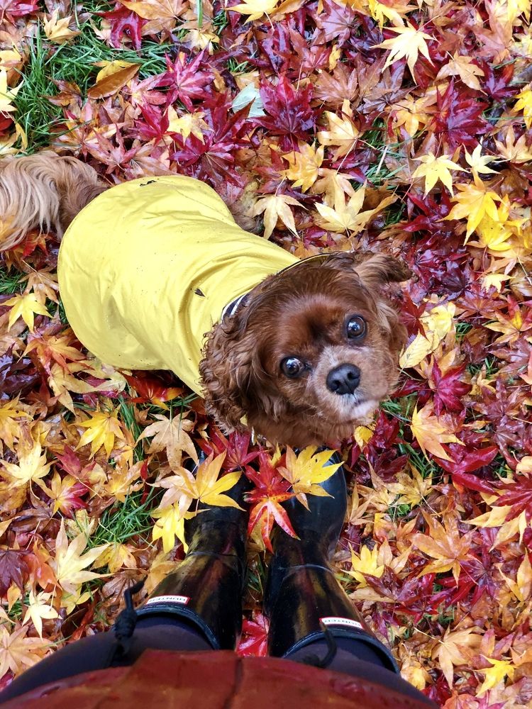 Photograph by Zinaida Sassarini