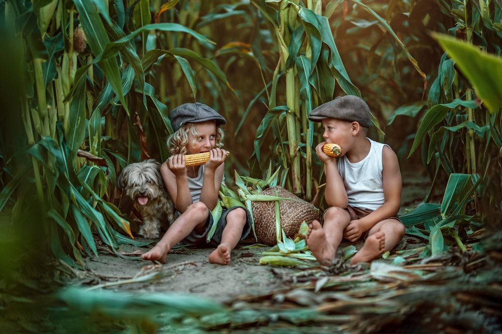 Фотография автора Kasia Kapała