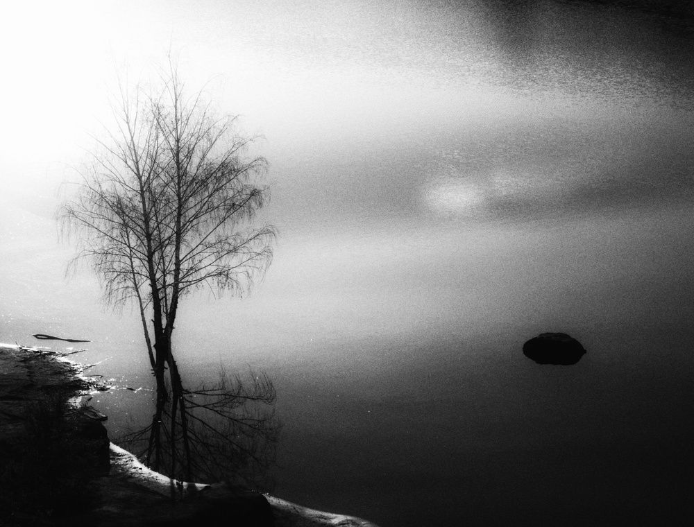 Photograph by Хомастя Настя