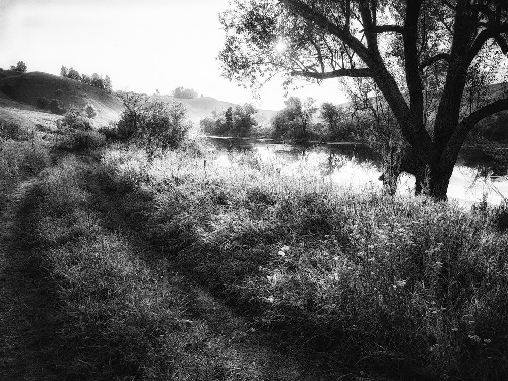 Photograph by Хомастя Настя