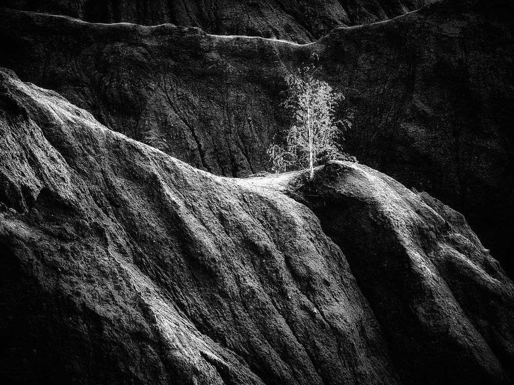 Photograph by Хомастя Настя