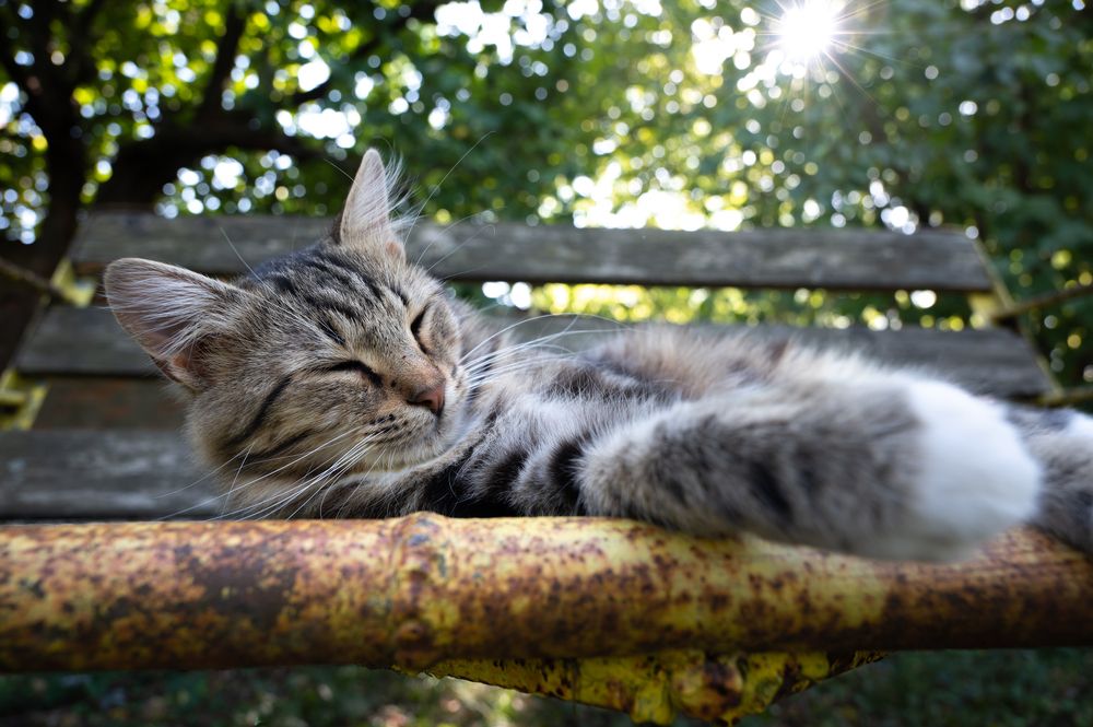 Photograph by Рыков Сергей