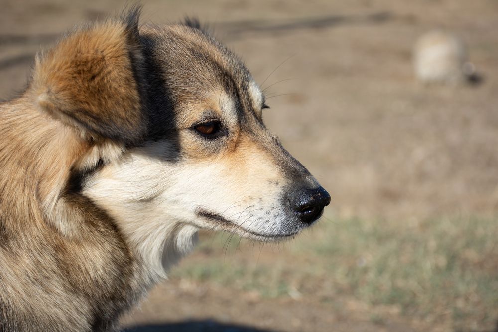 Photograph by Рыков Сергей