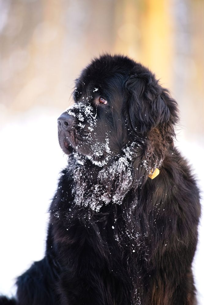 Photograph by Криволуцкий Вячеслав