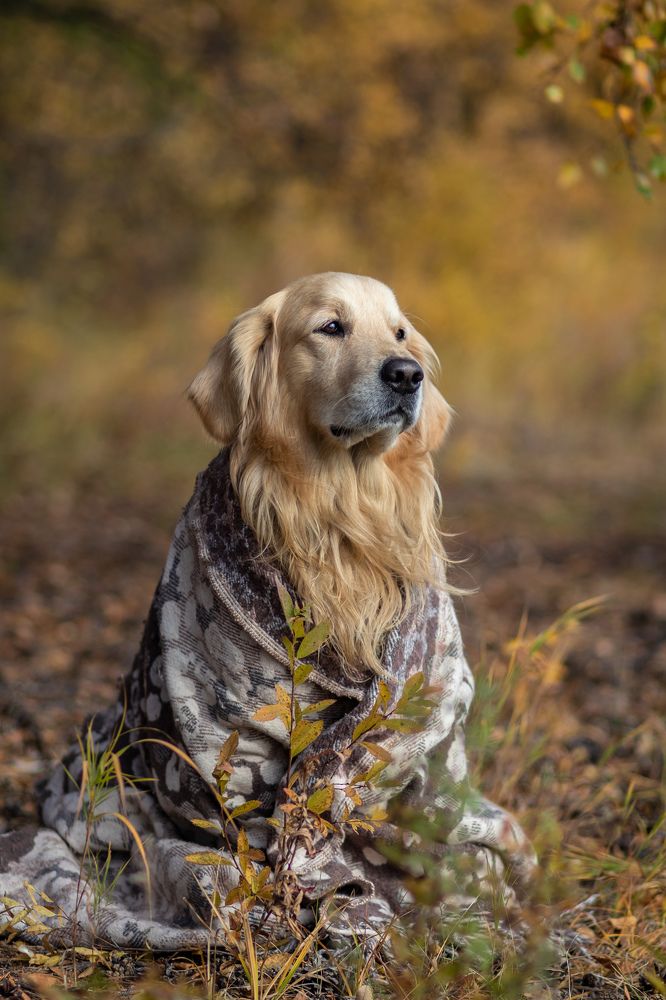 Photograph by Сергей Марценович
