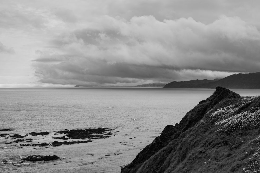 Photograph by Svetlana Porokhovnikova