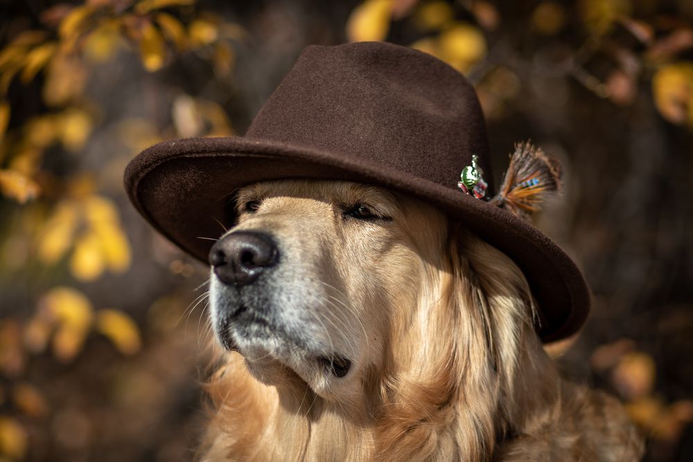 Photograph by Сергей Марценович