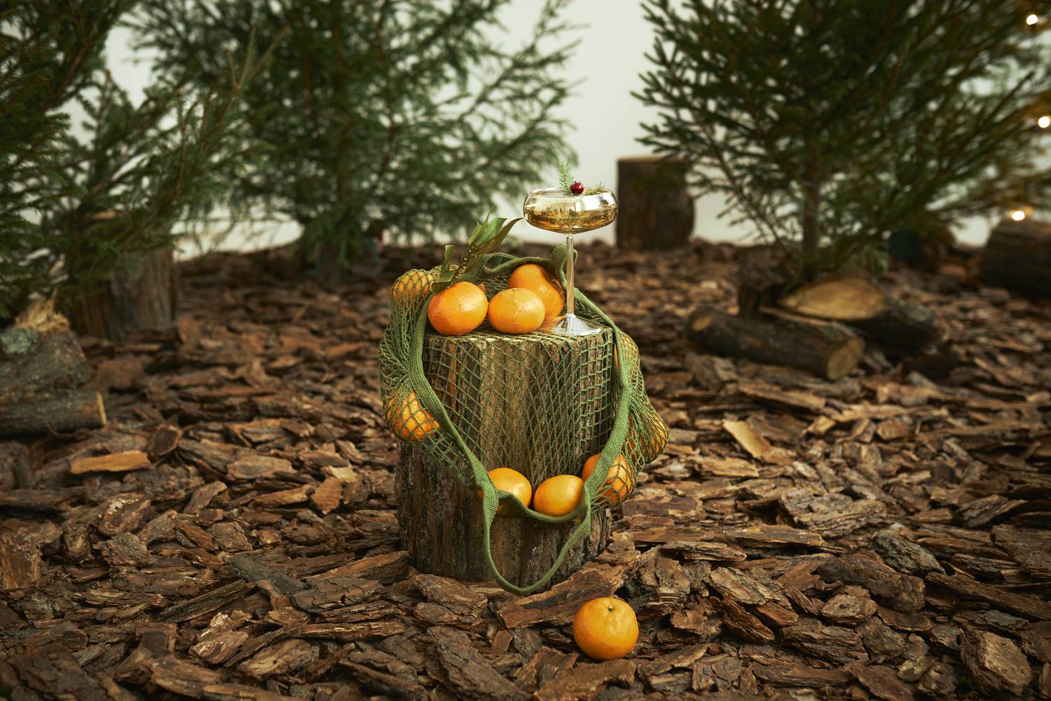 Фотография #11617683