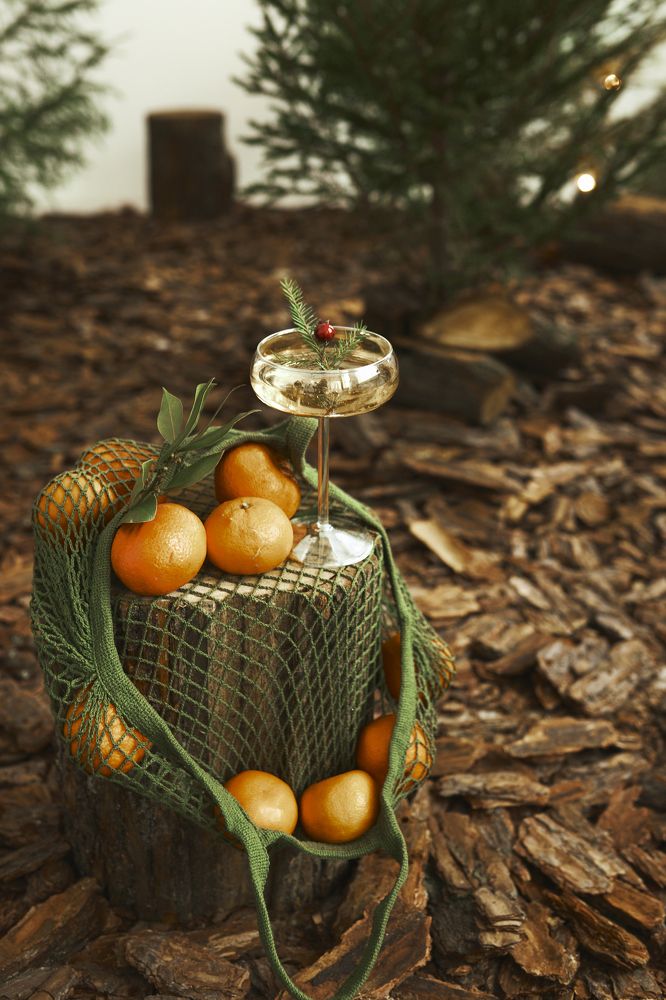 Фотография автора Svetlana Ilina