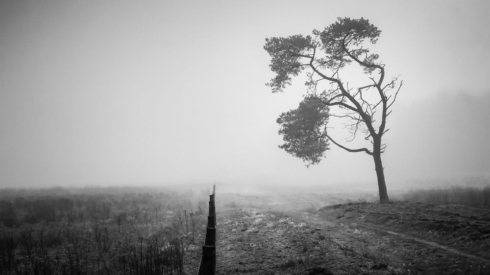 Фотография автора Roger Hamblok